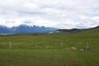 Land for sale in Idaho with owner finance options